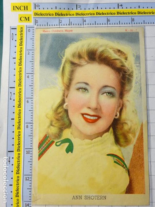 Cinema: ANTIGUO FOTO CROMO DE CINE. ACTORES ACTRICES. ANN SHOTERN METRO GOLDWYN MAYER K-10-7 247
