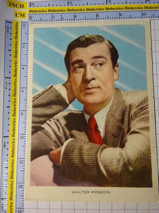 Cin&eacute;ma: ANTIGUA FOTO POSTAL CROMO DE CINE. ACTOR. VWALTER PIDGEON 227