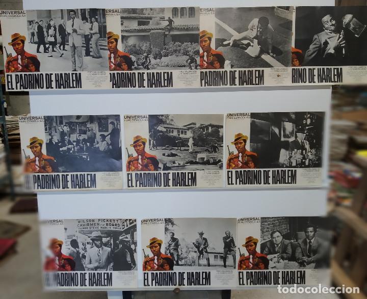 Cine: El padrino de Harlem. FRED WILLIAMSON, MINNIIE GENTRY, LARRY COHEN. 10 FOTOCROMOS ORIGINALES
