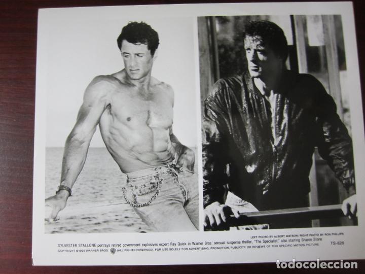 Cine: Sylvester Stallone - foto original b/n - El especialista The specialist
