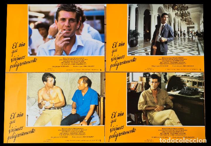 Cine: FOTOCROMOS SET - EL A&Ntilde;O QUE VIVIMOS PELIGROSAMENTE MEL GIBSON SIGOURNEY WEAVER - PETER WEIR