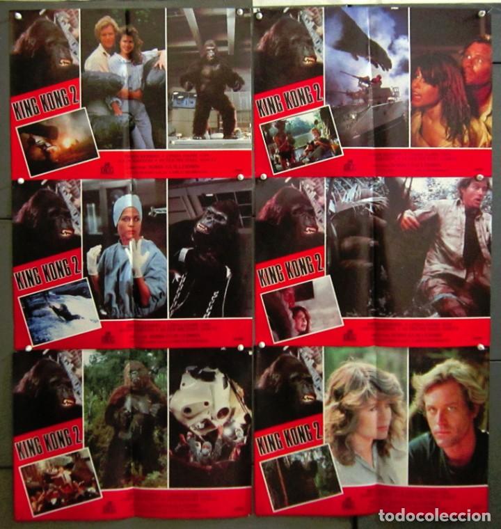 Cine: YT97D KING KONG 2 LINDA HAMILTON JOHN GUILLERMIN SET GIGANTE 6 FOTOCROMOS ORIGINAL ESTRENO