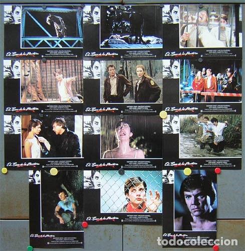 Kino: SCDO 620 EL BESO DE LA PANTERA NASTASSJA KINSKI MALCOLM MACDOWELL TERROR SET 12 FOTOCROMOS ESTRENO