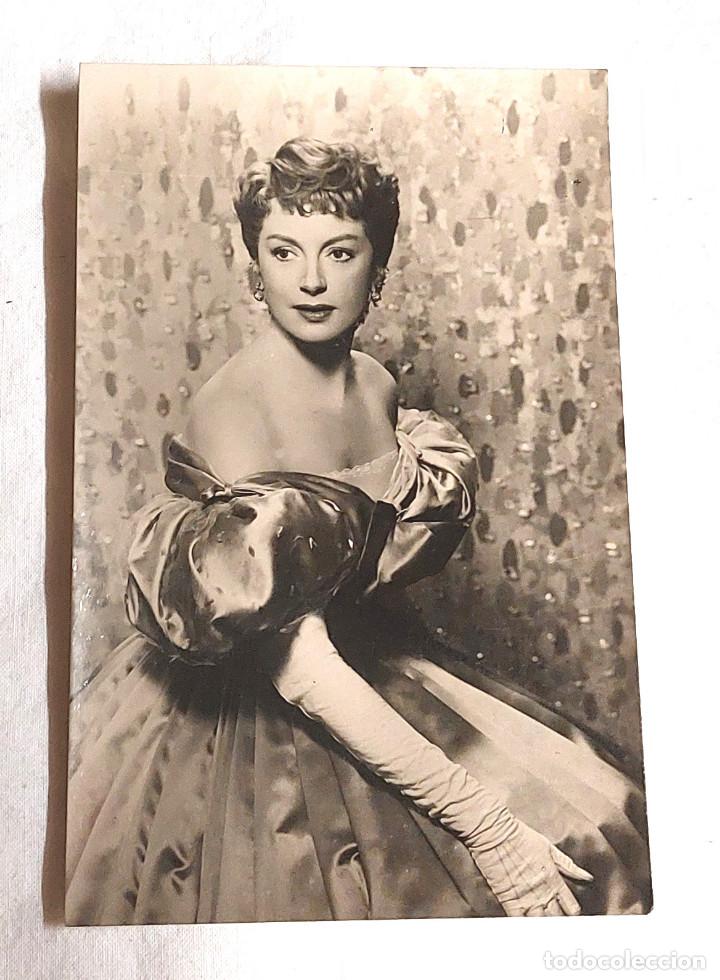 Cin&eacute;ma: Deborah Kerr a&ntilde;os 50 postal Fotografica