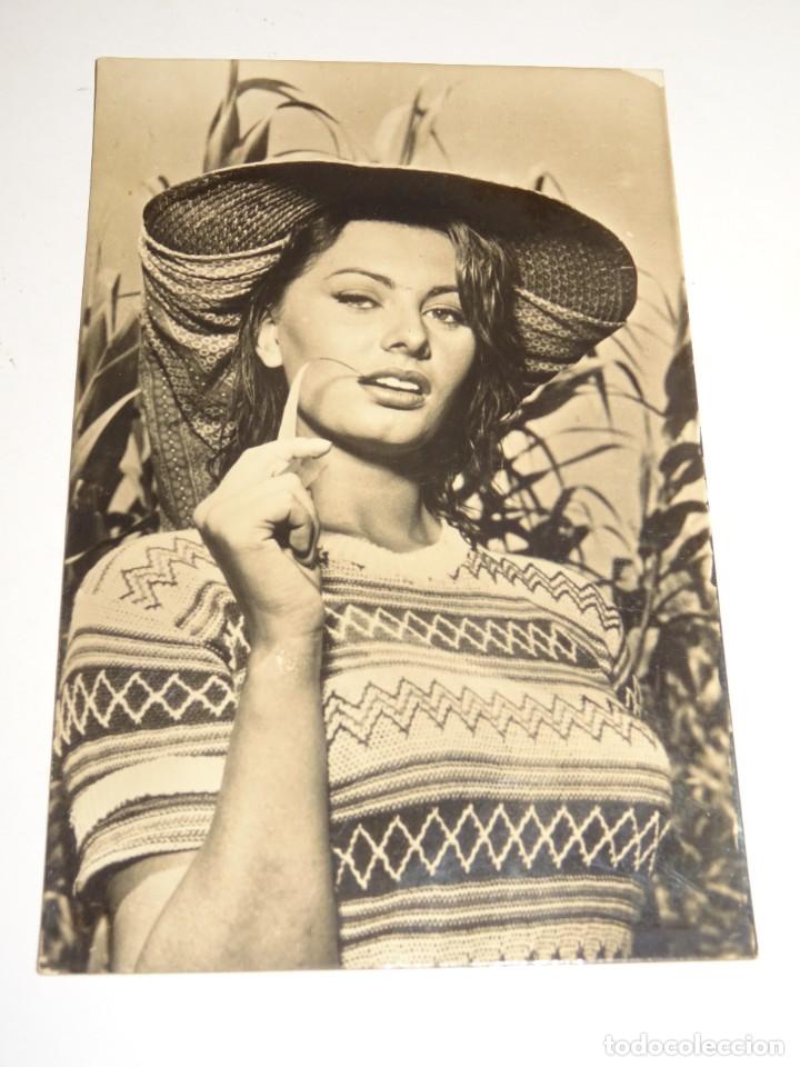 Cine: (M19) POSTAL ACTRIZ DE CINE SOFIA LOREN , SE&Ntilde;ALES DE USO NORMALES