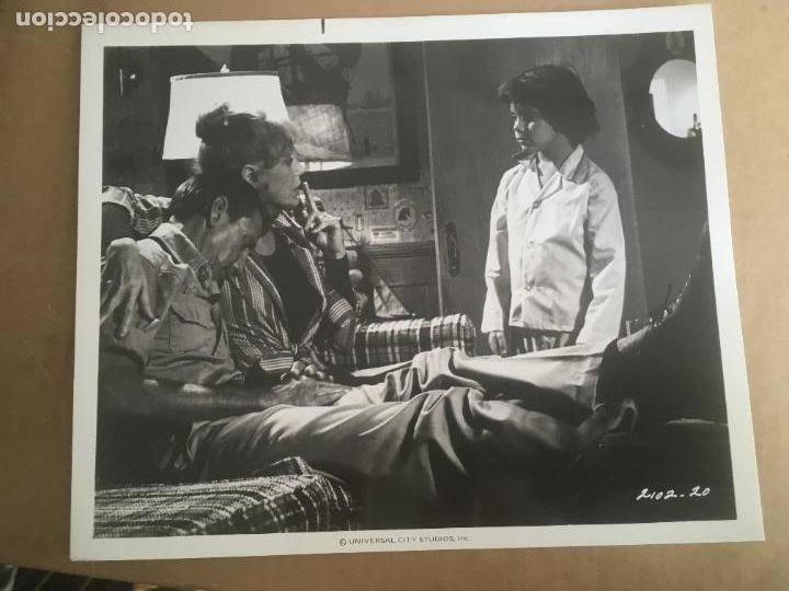 Kino: tiburon jaws 2 II roy scheider 1 foto original estreno