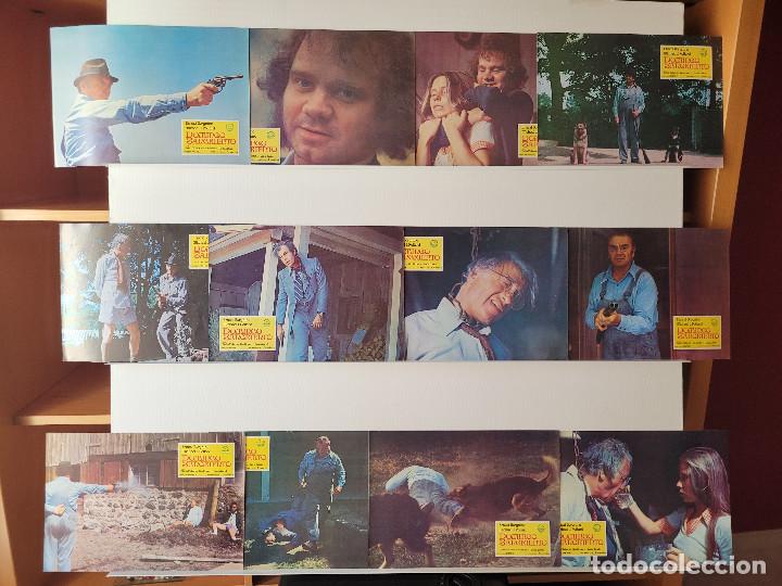 Cin&eacute;ma: Domingo sangriento. Ernest Borgnine, Michael J. Pollard, Hollis McLaren. 12 FOTOCROMOS