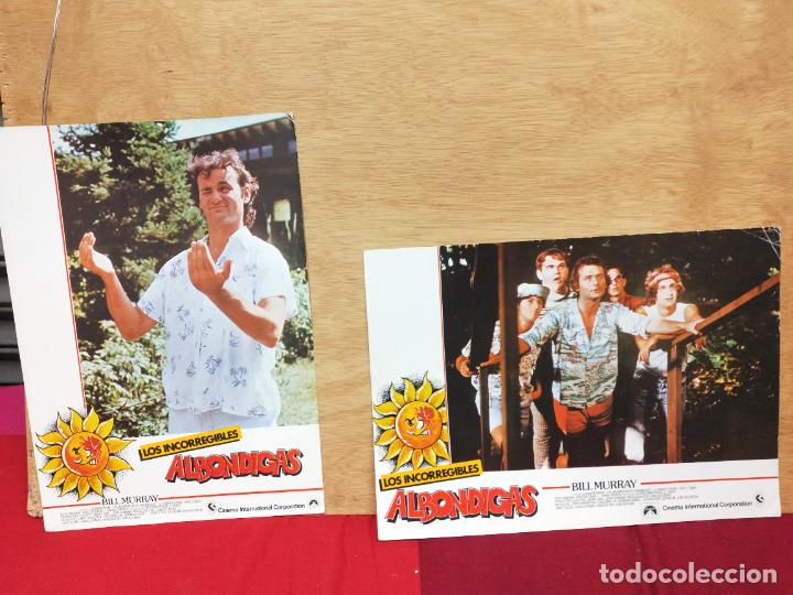 Cinema: LOS INCORREGIBLES ALBONDIGAS. BILL MURRAY. 2 FOTOCROMOS 24 X 34 CM.