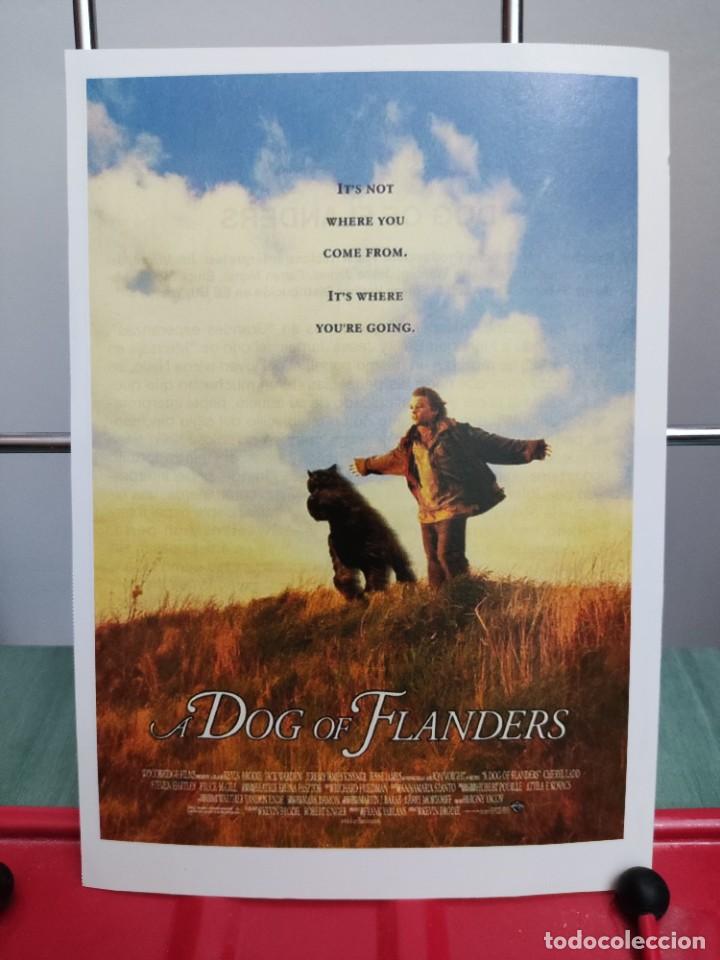 Cinema: Dog of flanders . Ficha revista Accion