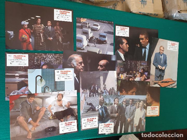 Cinema: pajaros de ciudad 12 fotocromos Giuliano Gemma, Elena Rojo, Jos&eacute; Luis L&oacute;pez V&aacute;zquez
