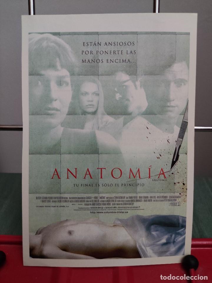 Kino: Anatomia . Ficha revista Accion