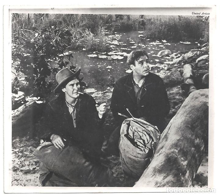 Cinema: F32457 BURGESS MEREDITH LON CHANEY JR OF MICE AND MEN FOTO B/N ORIGINAL ANTIGUA