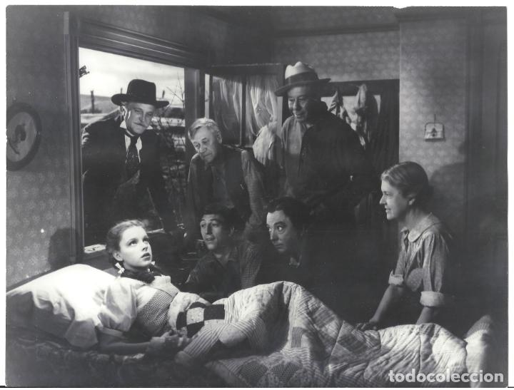 Cine: F32493 EL MAGO DE OZ JUDY GARLAND RAY BOLGER BERT LAHR JACK HALEY GRANK MORGAN FOTO ORIG B/N ANTIGUA