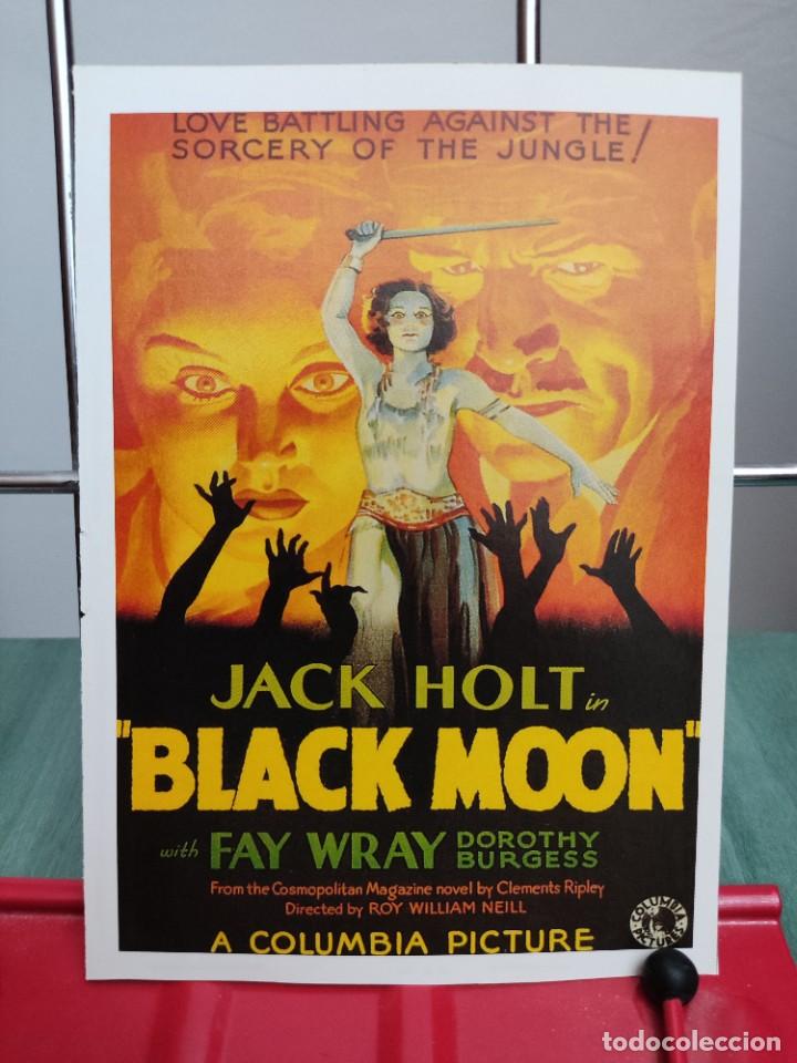 Kino: Black moon . Ficha revista Accion
