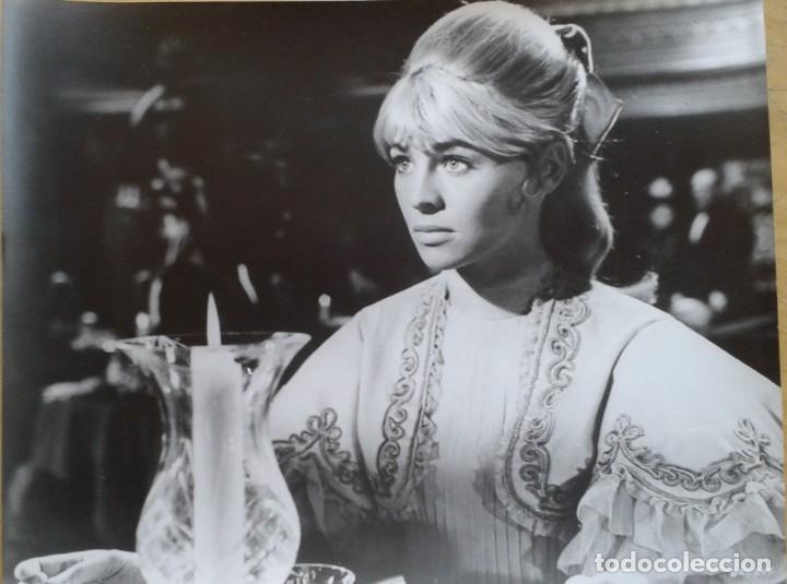 Cine: JULIE CHRISTIE. DOCTOR ZHIVAGO. FOTO 20X25.