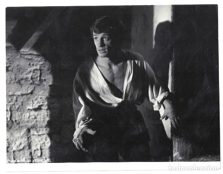 Kino: F32990 JEAN PAUL BELMONDO FOTO B/N ORIGINAL ESPA&Ntilde;OLA