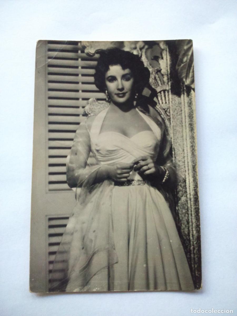 Cine: FOTO - POSTAL -- ELIZABETH TAYLOR -- LA GATA SOBRE EL TEJADO DE ZINC -- ARCHIVO BERMEJO --