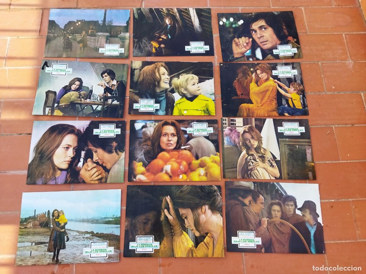 Cinema: fotocromos 12 de cine movie set completo ver fotos LA MANSION BAJO LOS ARBOLES faye dunaway