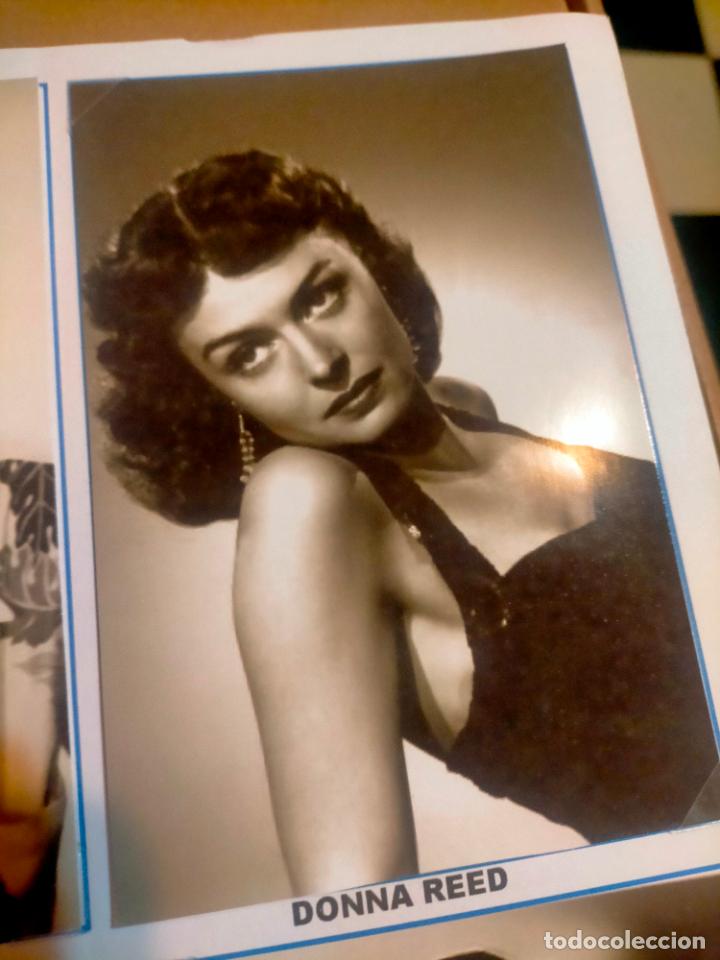 Cine: Cine actor o actriz fotografia o foto fotocromo fotografico blanco y negro leer , DONNA REED
