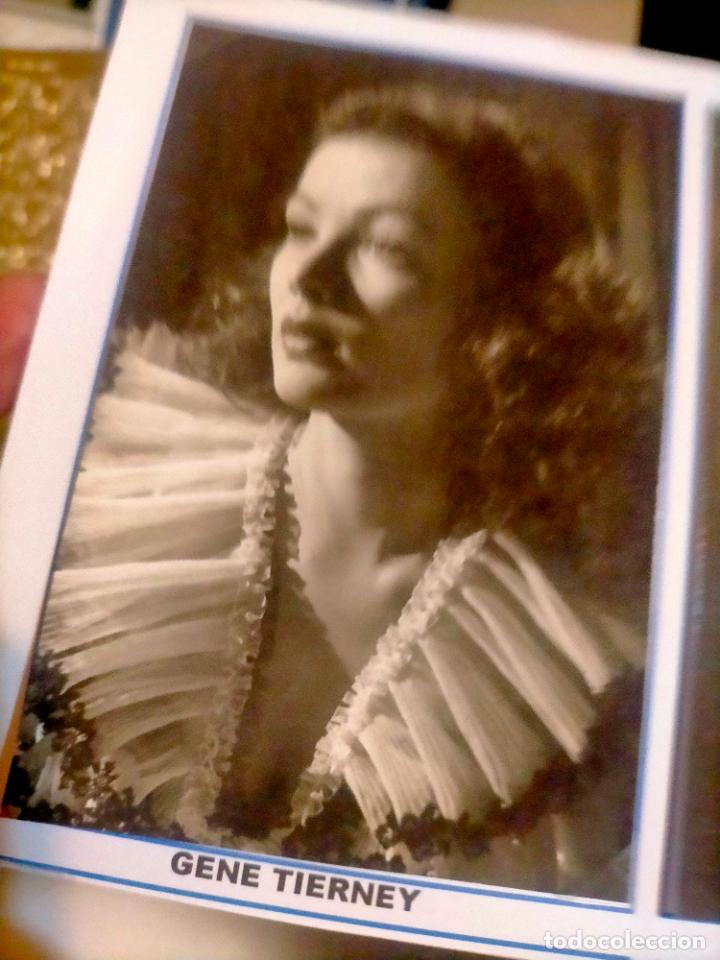 Cine: Cine actor o actriz fotografia o foto fotocromo fotografico blanco y negro leer , GENE TIERNEY