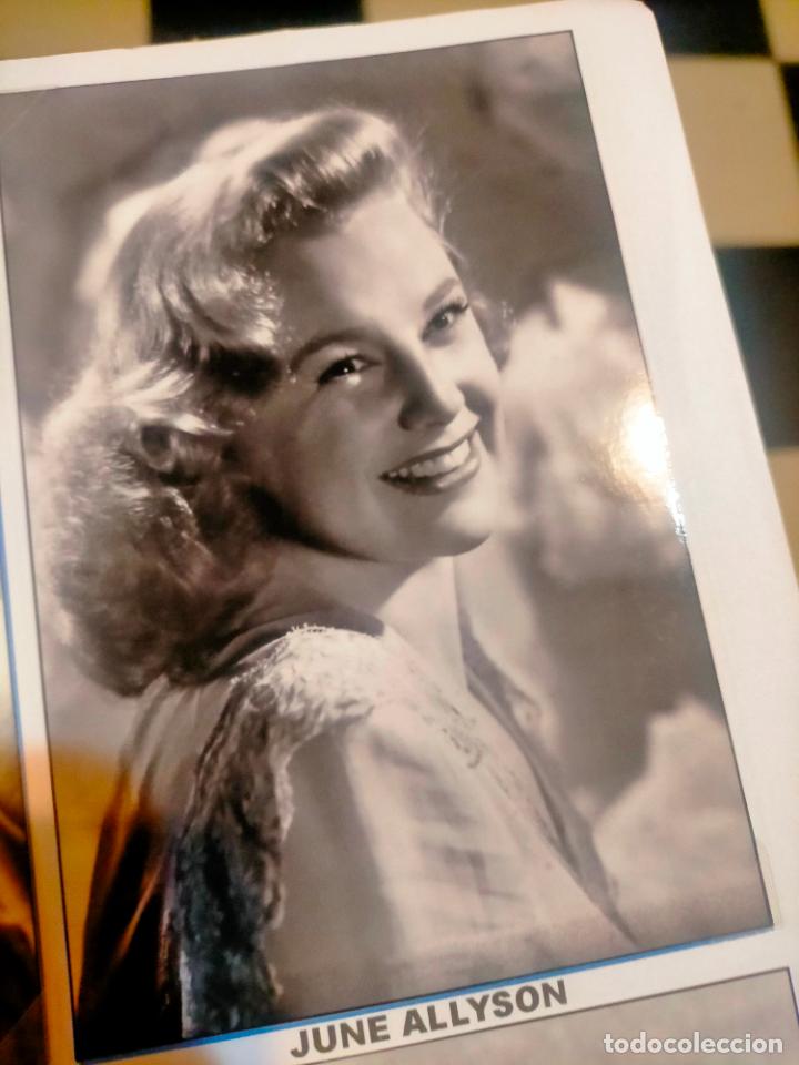 Kino: Cine actor o actriz FOTOGRAFIA o foto fotocromo fotografico blanco y negro leer , JUNE ALLYSON