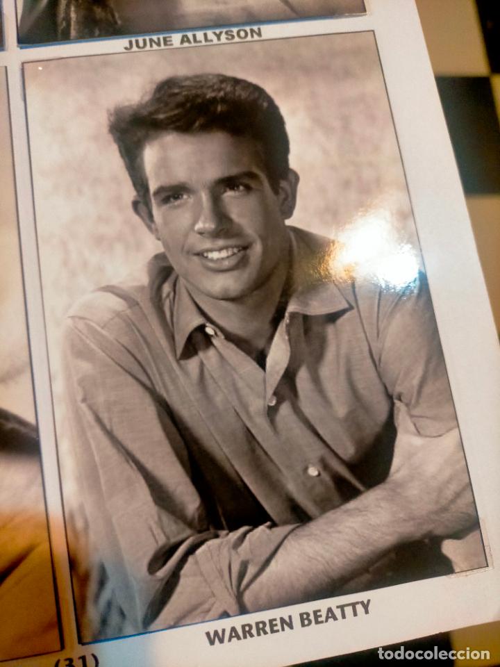 Kino: Cine actor o actriz FOTOGRAFIA o foto fotocromo fotografico blanco y negro leer , WARREN BEATTY