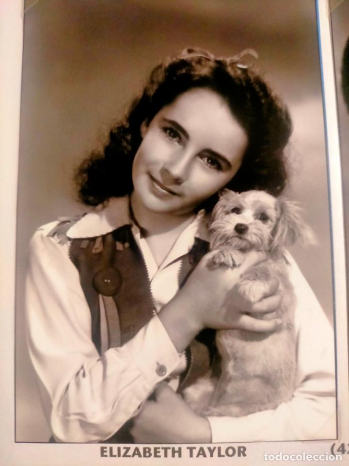 Cine: Cine actor o actriz FOTOGRAFIA o foto fotocromo fotografico blanco y negro leer , ELIZABETH TAYLOR