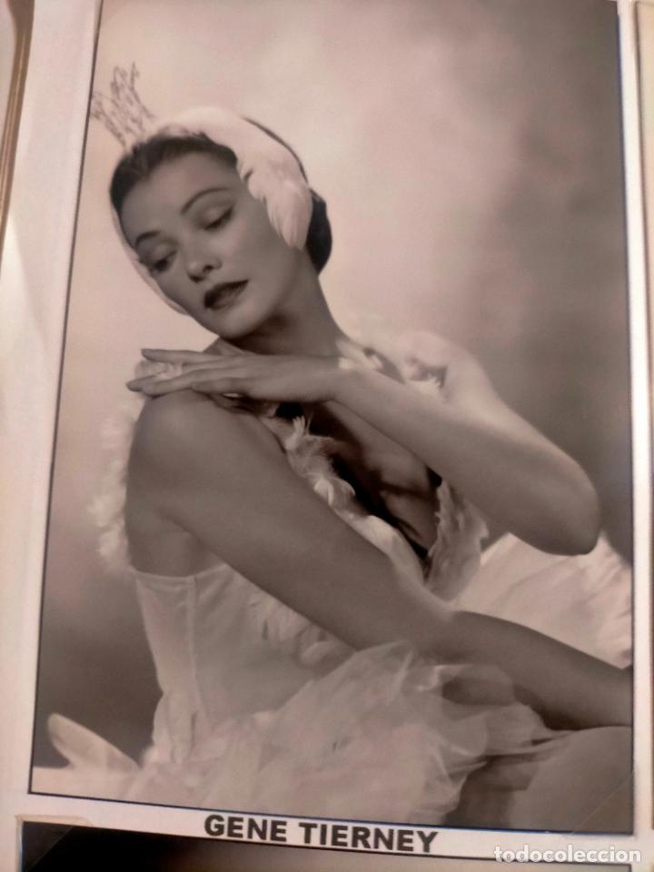 Kino: Cine actor o actriz FOTOGRAFIA o foto fotocromo fotografico blanco y negro leer , GENE TIERNEY