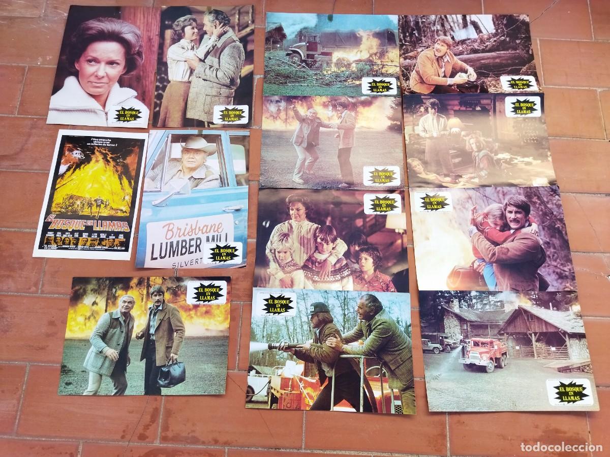 Cinema: fotocromos 12 de cine movie set completo+GUIA ver fotos EL BOSQUE EN LLAMAS ernest borgnine
