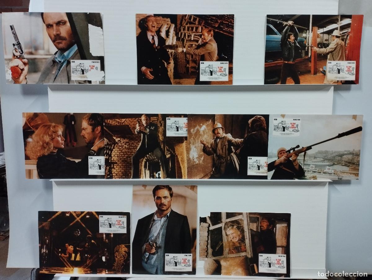 Cinema: El d&iacute;a del Cobra. Franco Nero, Sybil Danning, Mario Maranzana. 10 FOTOCROMOS