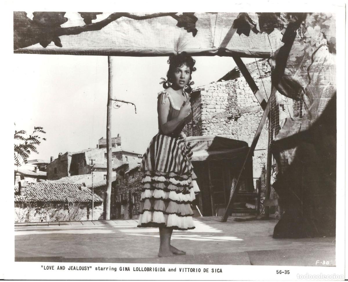 Kino: F35397 GINA LOLLOBRIGIDA PAN AMOR Y CELOS FOTO B/N ORIGINAL AMERICANA