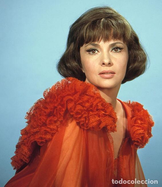 Cinema: GINA LOLLOBRIGIDA FOTO DE NEGATIVO INMEJORABLE CALIDAD MEDIDAS 20X30 APROXIMADAMENTE