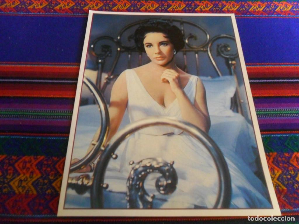 Cine: ELIZABETH TAYLOR LAS FICHAS DE CACITEL N&ordm; 78. CARTULINA, 26X20 CMS. MUY BUEN ESTADO. RARA.