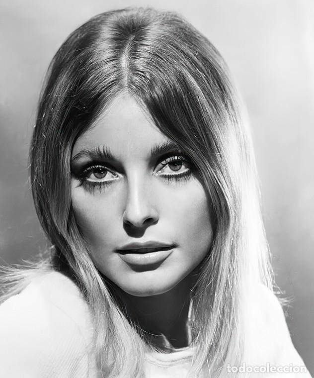 Cinema: SHARON TATE FOTO DE NEGATIVO DE LA ACTRIZ EX MUJER DEL DIRECTOR ROMAN POLANSKI ASESINADA EN 1969