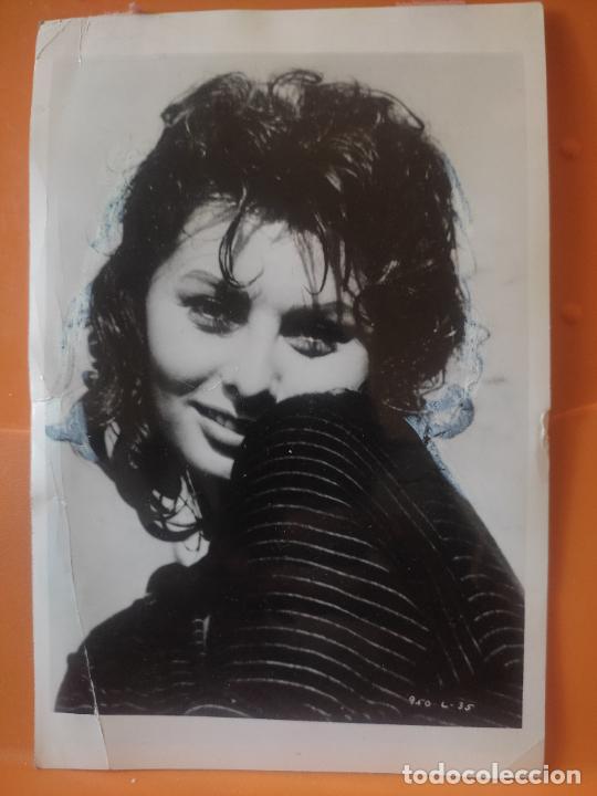 Cine: SOFIA LOREN 1964 FOTO AGENCIA RETOCADA CON TIPEX CONTORNO PELOS 18 X 12 CMS SOBADA VER FOTOS