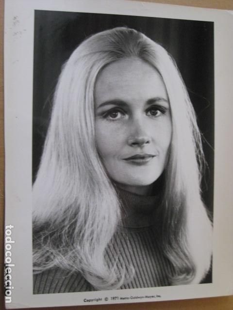 Cine: Nancy Barrett - foto b/n original - Night of the dark shadows Una luz en la oscuridad