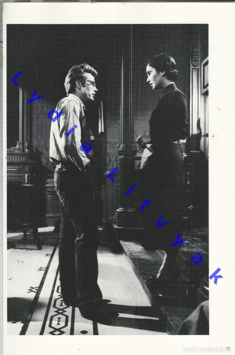 Cine: 40X27 JAMES DEAN ELIZABETH TAYLOR LAMINA FOTOGRAFICA STANFORD Y BEULAH ROTH U20