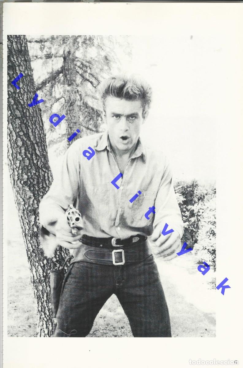 Cine: 40X27 JAMES DEAN LAMINA FOTOGRAFICA STANFORD Y BEULAH ROTH U20