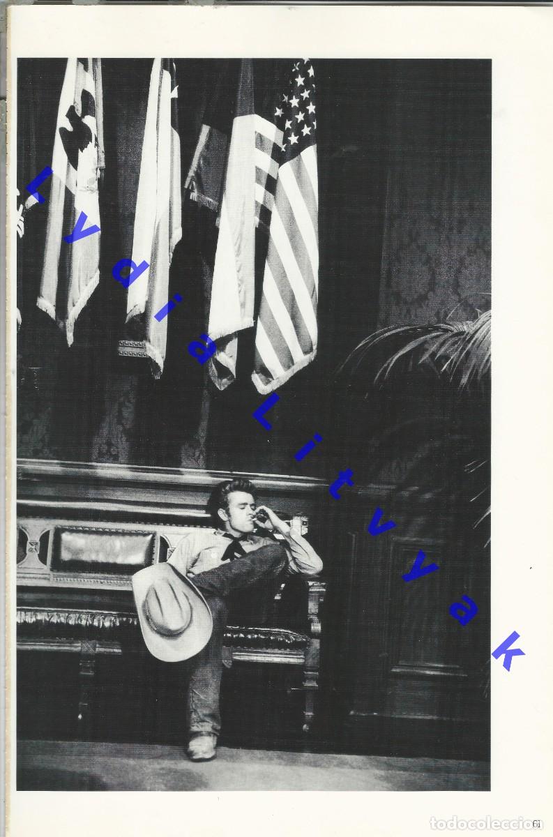 Cine: 40X27 JAMES DEAN LAMINA FOTOGRAFICA STANFORD Y BEULAH ROTH U20