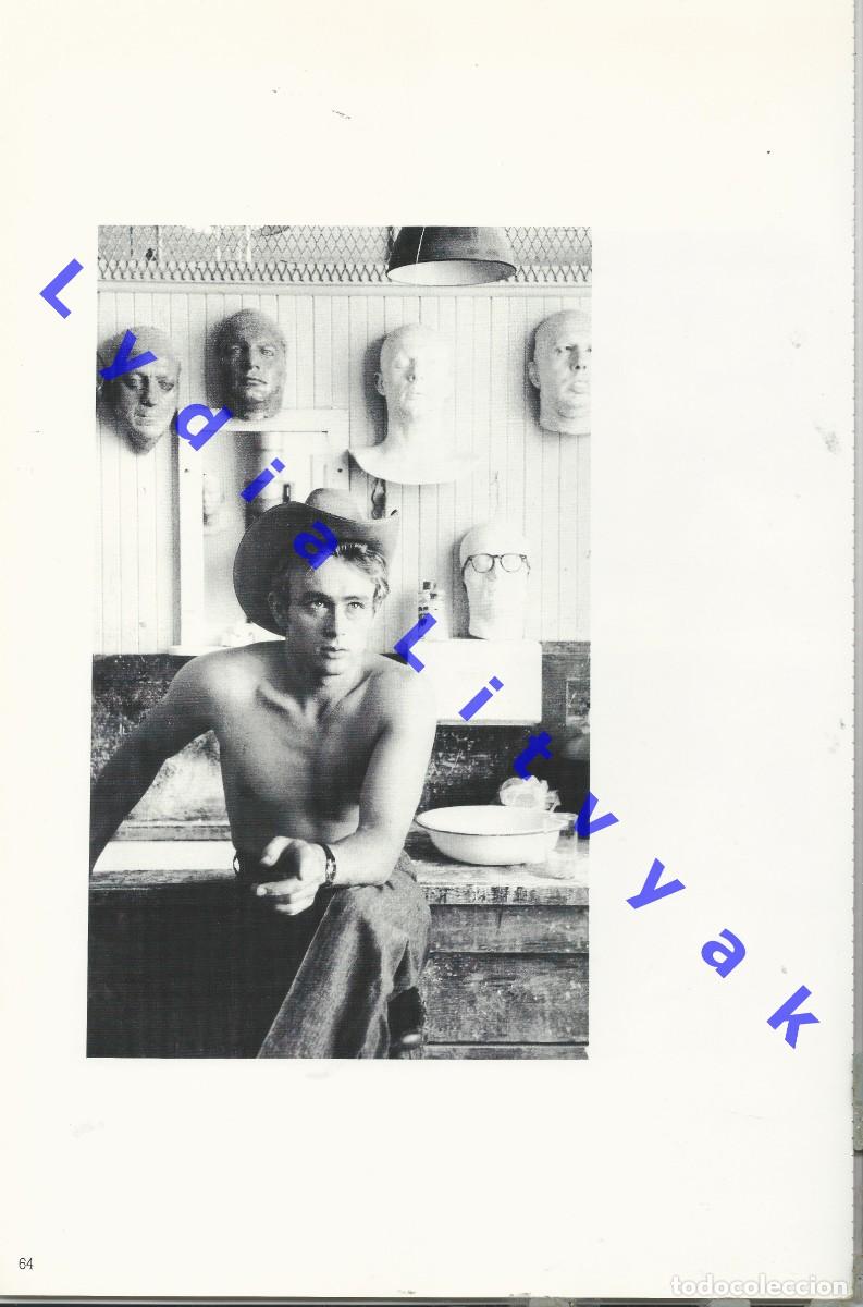 Cine: 40X27 JAMES DEAN LAMINA FOTOGRAFICA STANFORD Y BEULAH ROTH U20