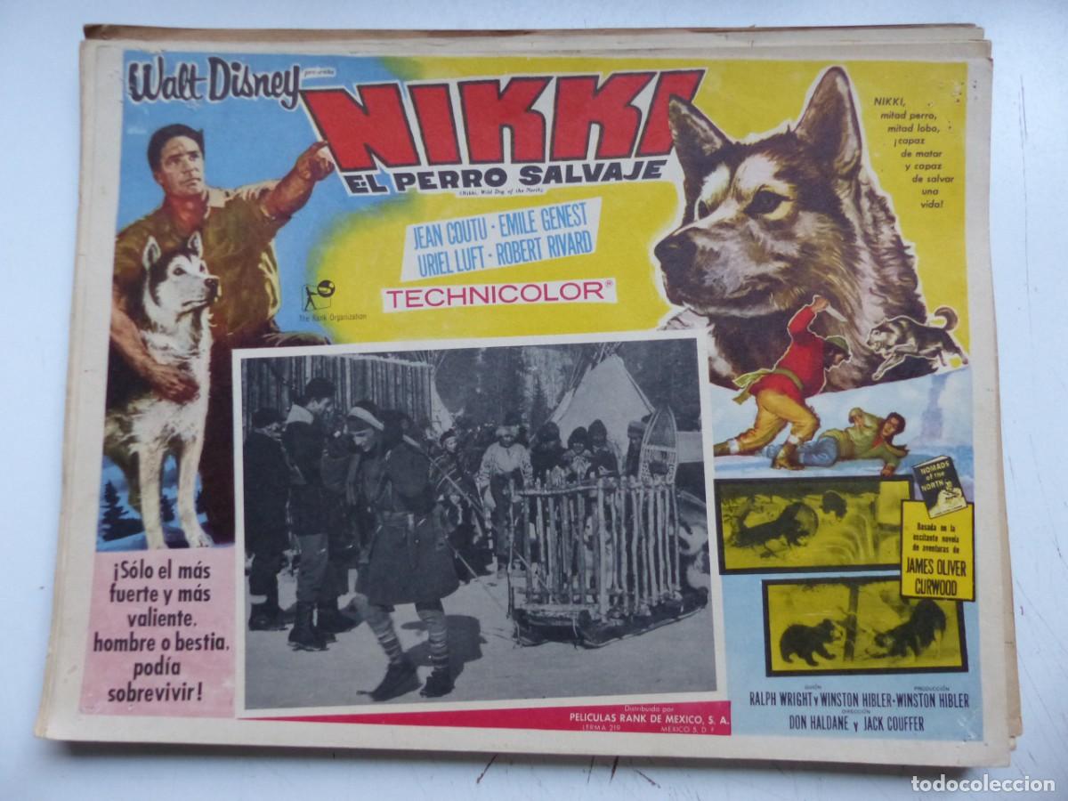 Cine: LOBBY CARD MEXICANO - NIKKI EL PERRO SALVAJE, JEAN COUTU, EMILE GENEST, WALT DISNEY