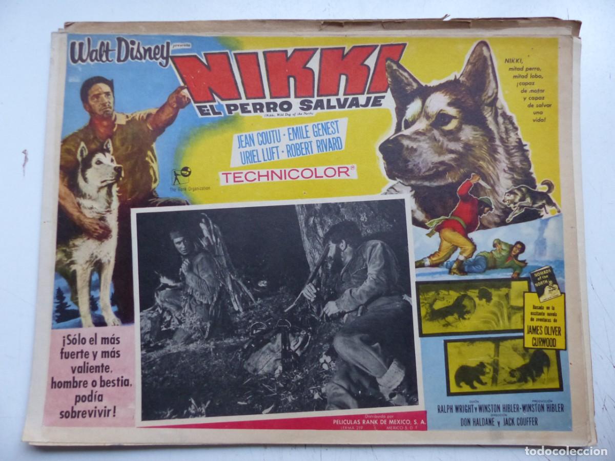 Cine: LOBBY CARD MEXICANO - NIKKI EL PERRO SALVAJE, JEAN COUTU, EMILE GENEST, WALT DISNEY