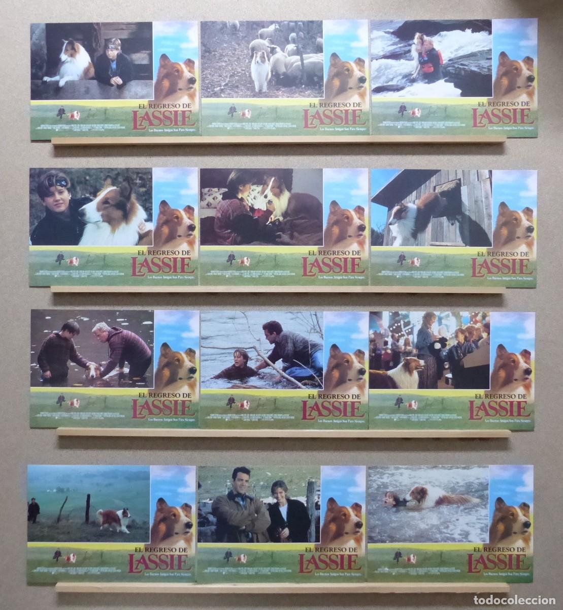 Cine: EL REGRESO DE LASSIE - THOMAS GUIRY - SET COMPLETO 12 FOTOCROMOS
