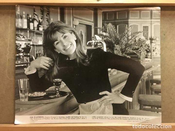 Cinema: ABR92 NANETTE NEWMAN LA LOCA DE CHAILLOT FOTO B/N ORIGINAL GRANDE AMERICANA