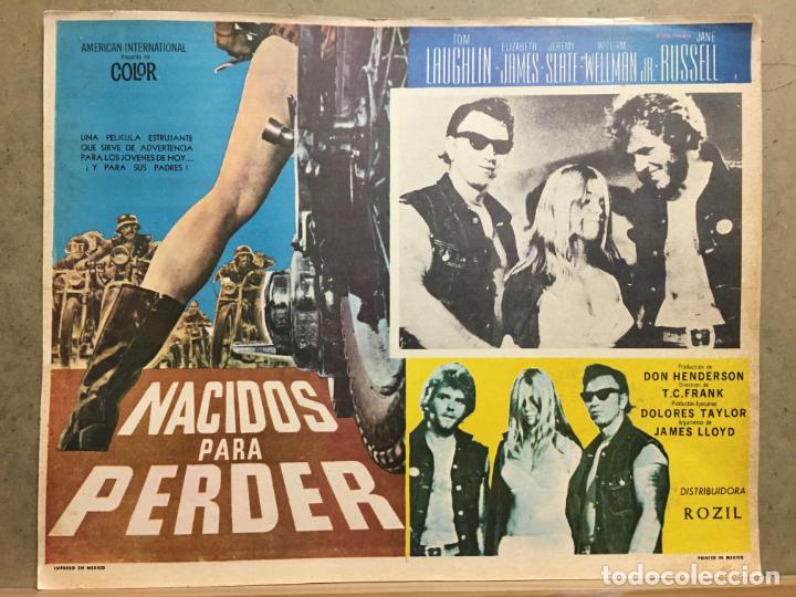 Cinema: ABS69 NACIDOS PARA PERDER THE BORN LOOSERS TOM LAUGHLIN ELIZABETH JAMES LOBBY CARD ORIGINAL MEJICANO