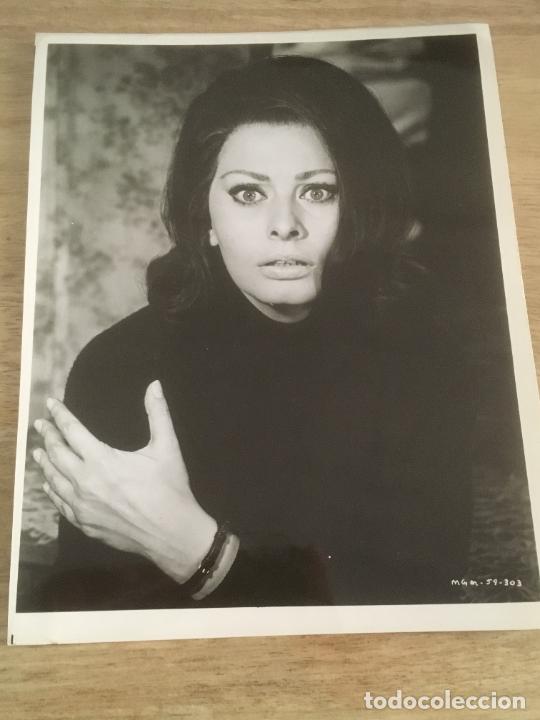 Cine: sophia sofia loren foto original antigua