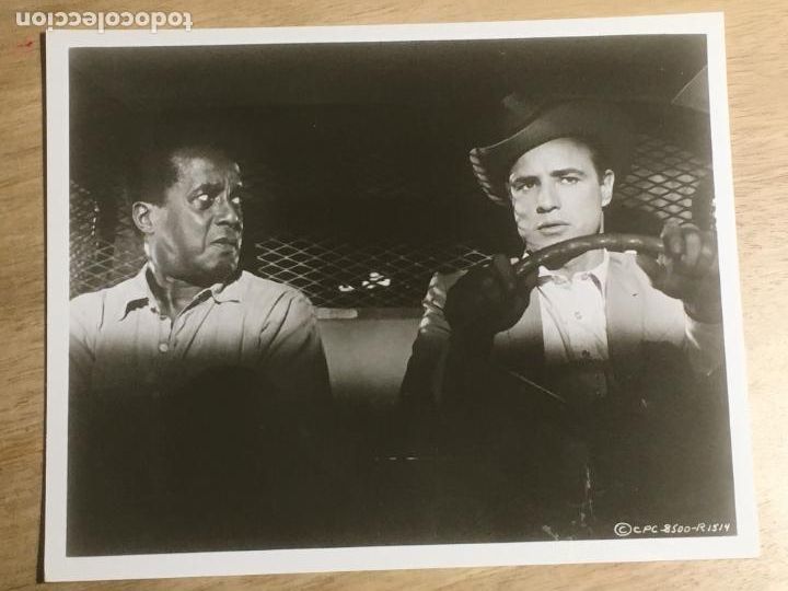 Cine: la jauria humana the chase marlon brando foto americana original