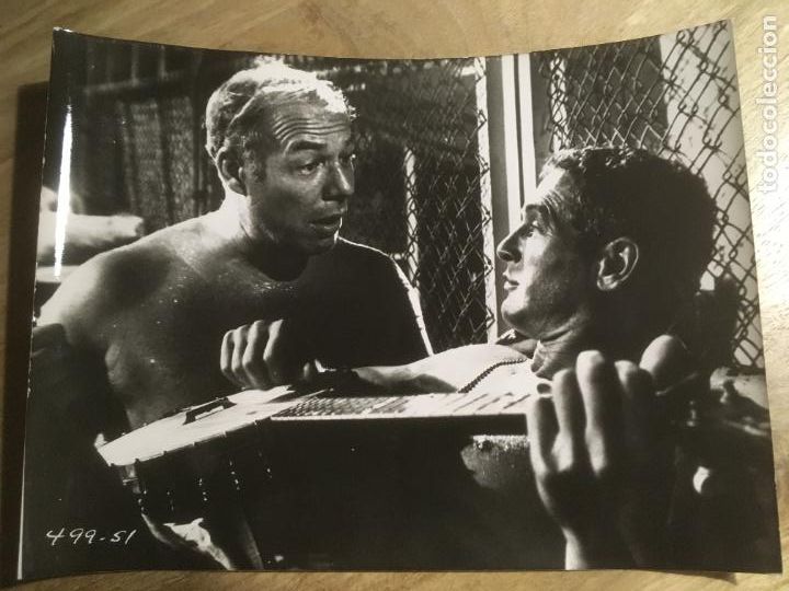 Cine: la leyenda del indomable cool hand luke paul newman foto original estreno