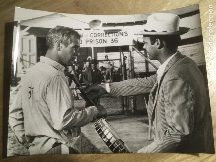 Cine: la leyenda del indomable cool hand luke paul newman foto original estreno