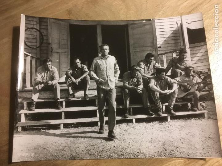 Cine: la leyenda del indomable cool hand luke paul newman foto original estreno
